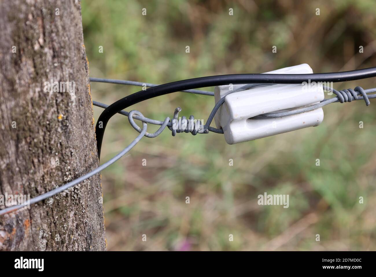 Picture of Electric fence gate protecting a green grass pasture Stock Photo - Alamy