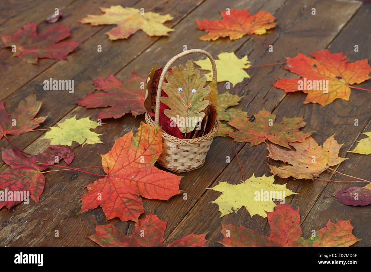 High angle shot of bright autumn leaves on wooden boards Stock Photo ...