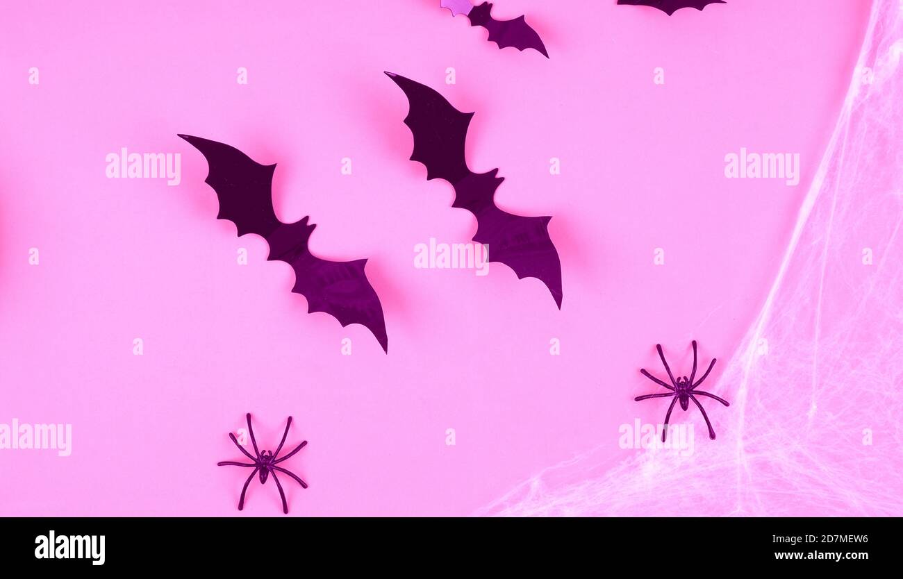 banner for web pink Halloween concept. bats and cobwebs on pink background. Stock Photo