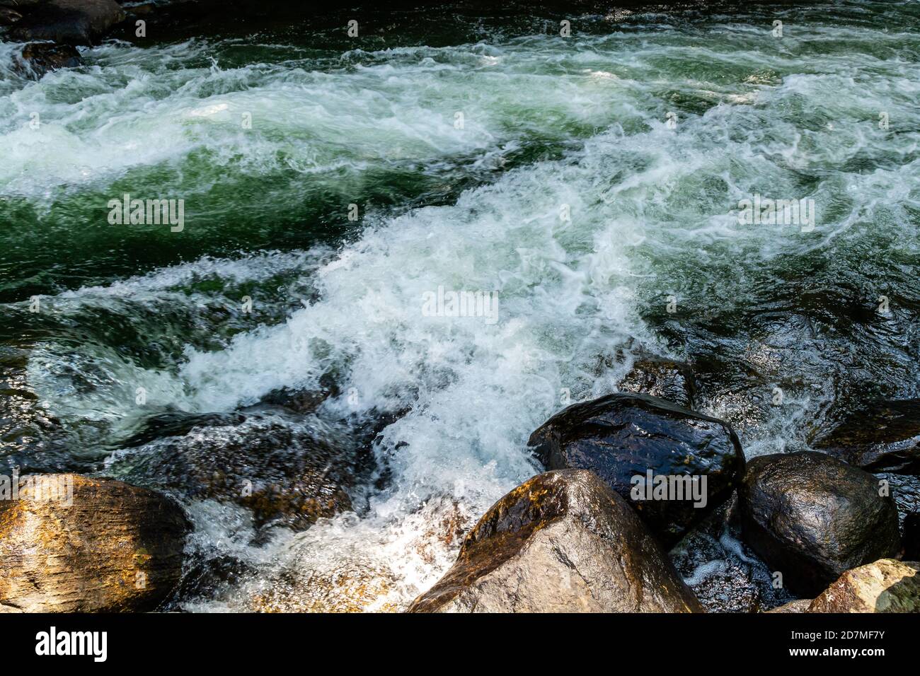 Whitewater Preserve Minden Hills Algonquin Highlands Ontario Canada in ...