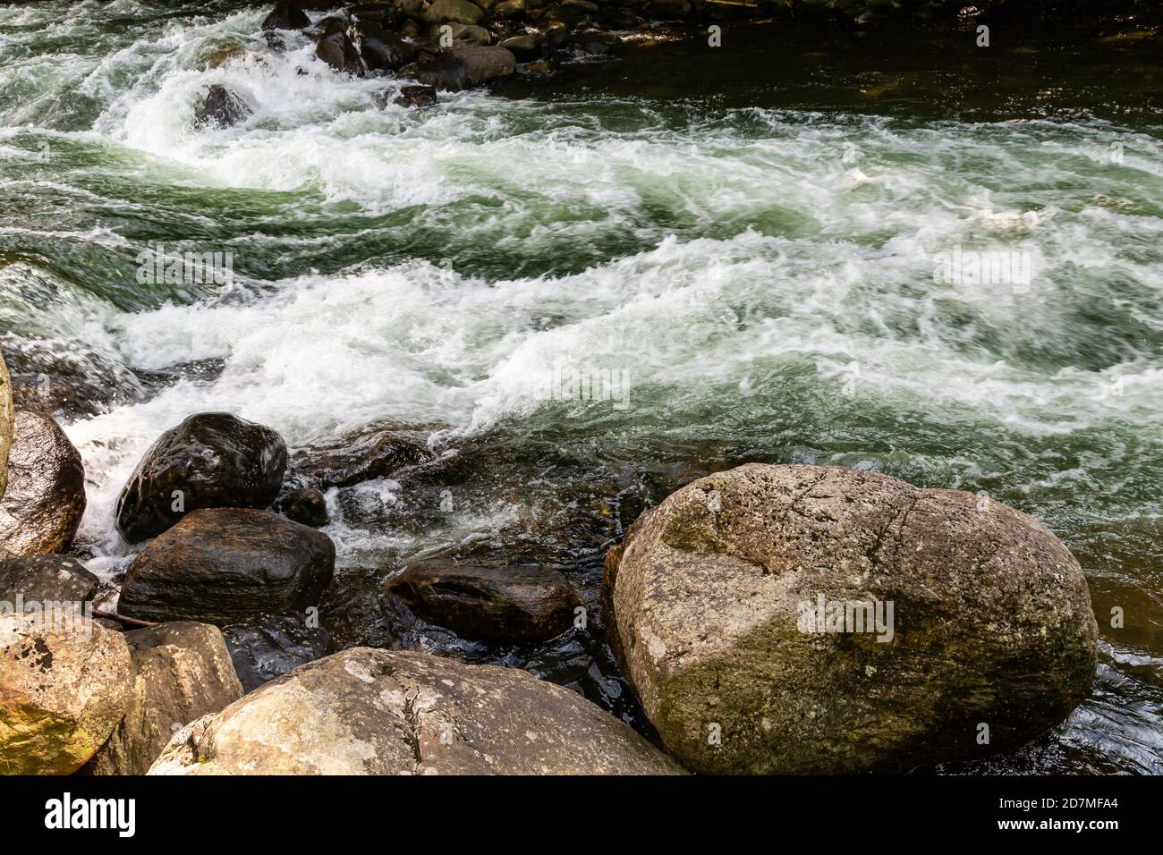 Whitewater Preserve Minden Hills Algonquin Highlands Ontario Canada in ...