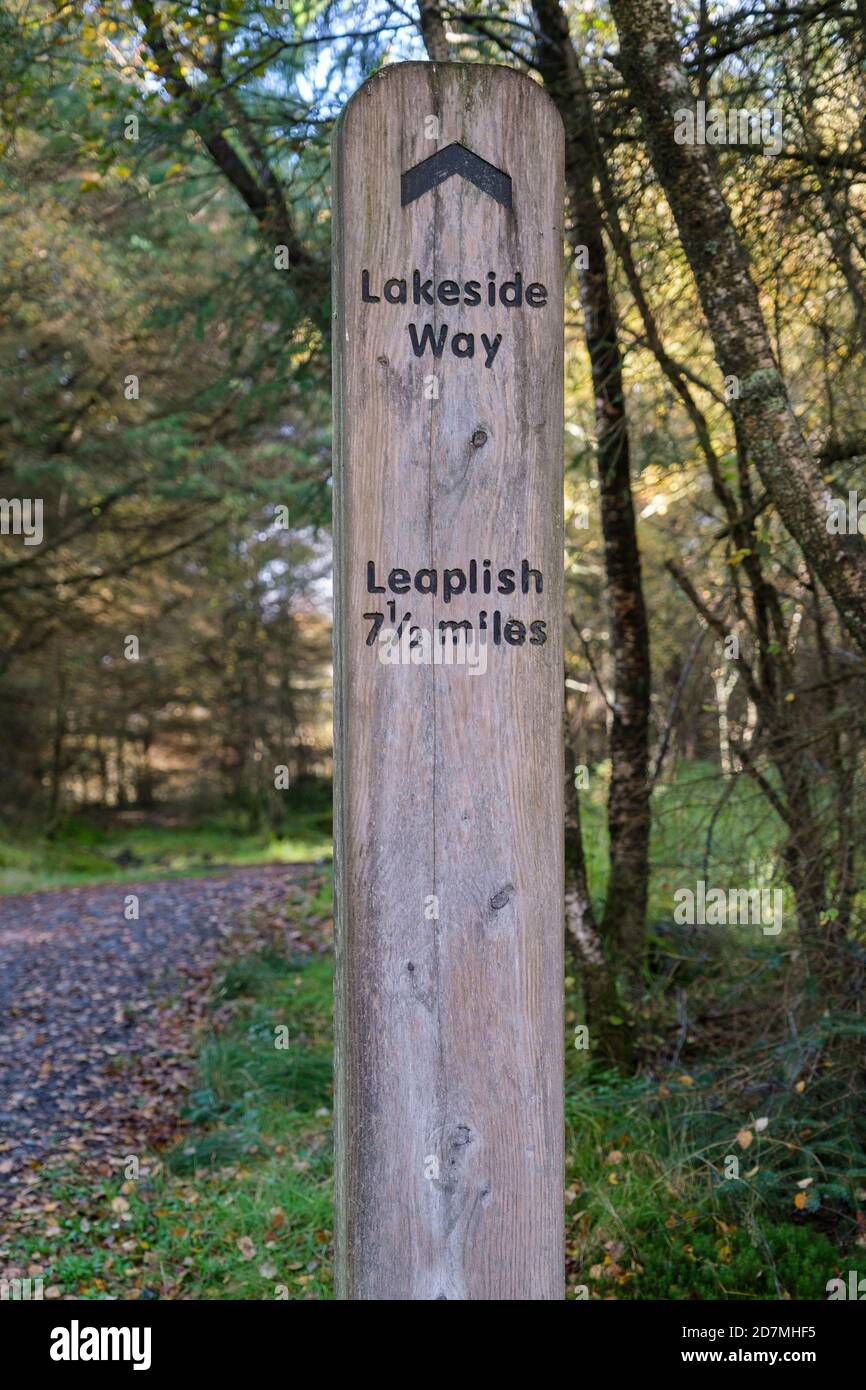 The Lakeside Way at Kielder Forest and Water, Northumberland, England