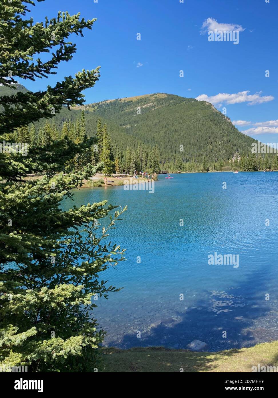 Mesmerizing shot of a calm lake surrounded by fir trees Stock Photo - Alamy