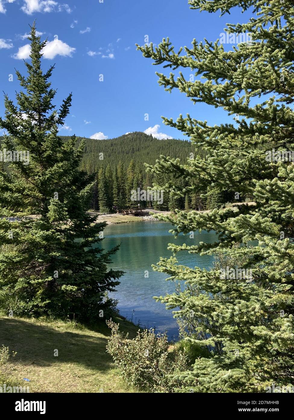 Mesmerizing shot of a calm lake surrounded by fir trees Stock Photo - Alamy
