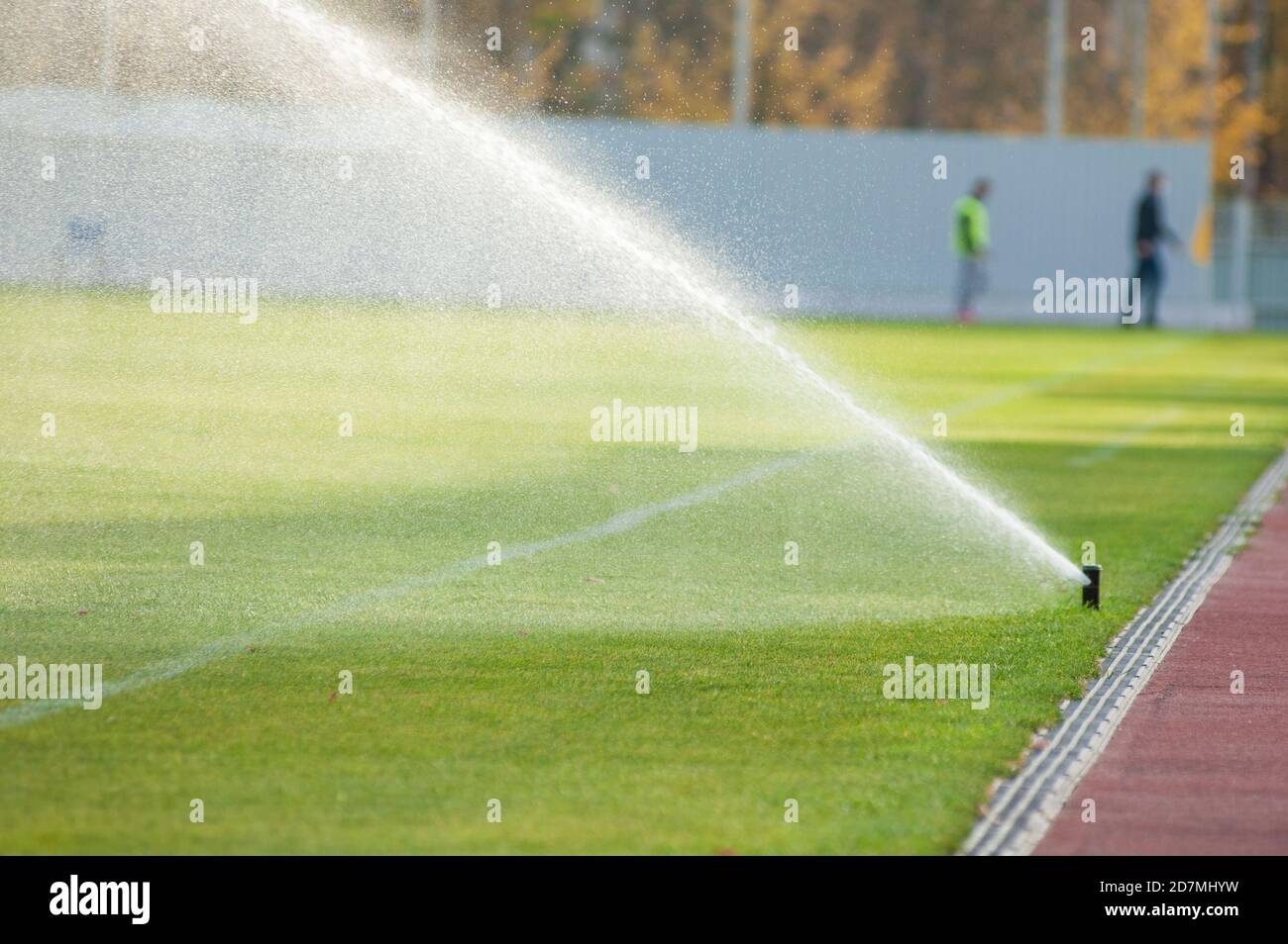 Irrigation turf. Sprinkler watering football field. System working on