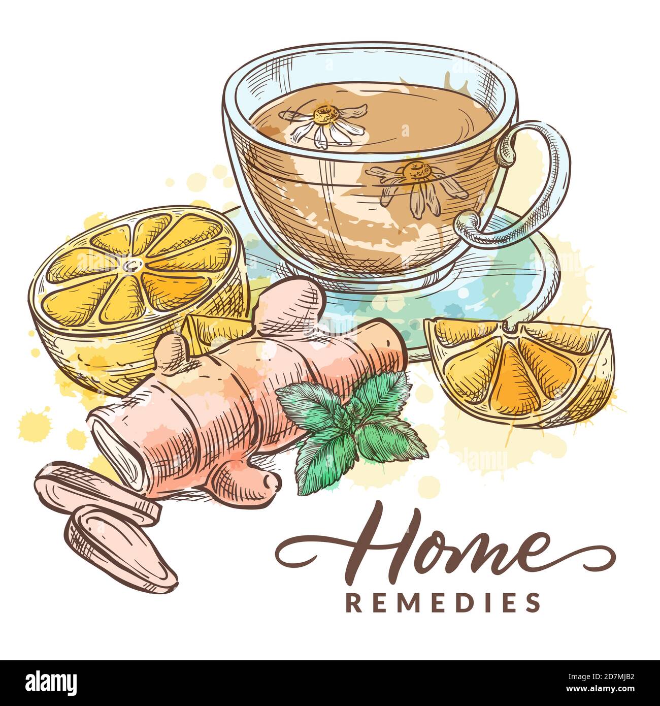 Herbal tea with chamomile, lemon, ginger and mint. Home remedies treatment and medicines for colds, flu, coughs. Vector hand drawn watercolor sketch i Stock Vector