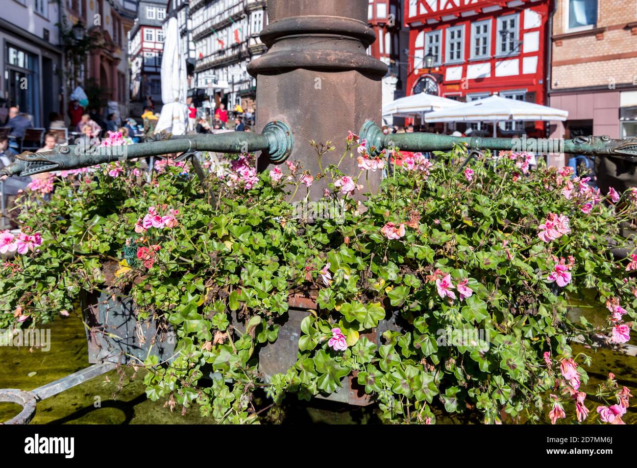 Flowers at the market fountain in Marburg Stock Photo