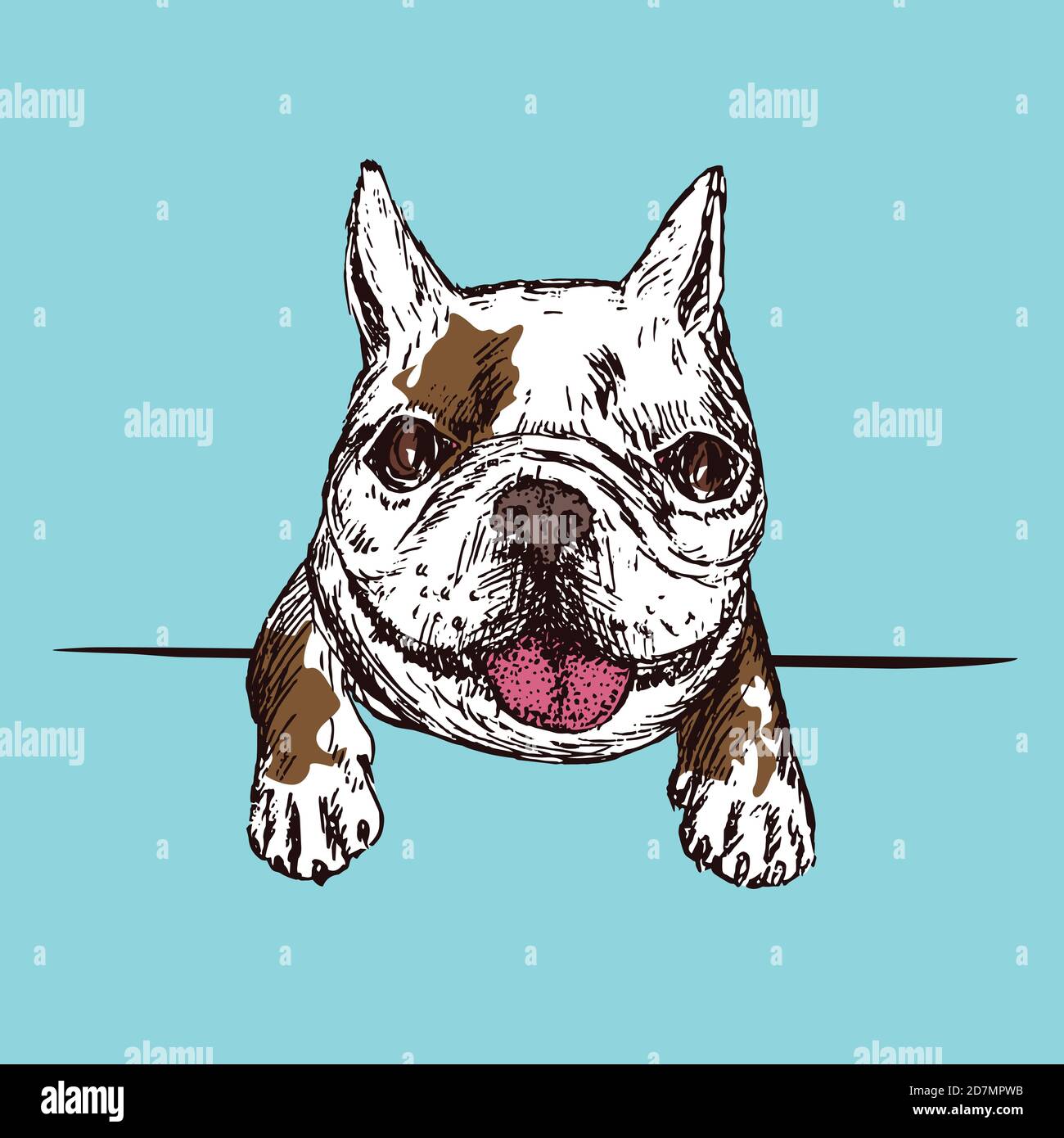 Frenchie doodle cheap
