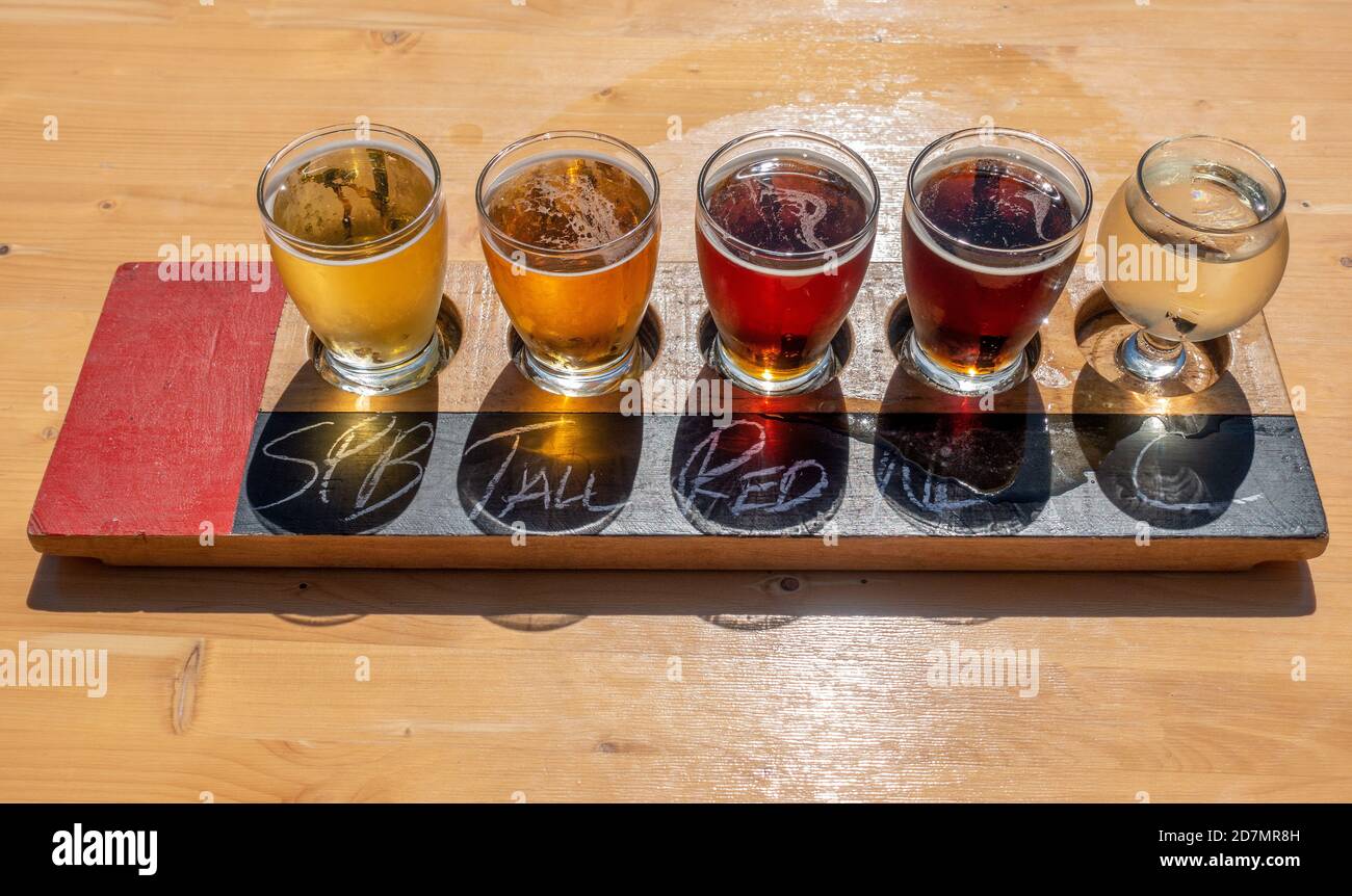 Flight Of Beer Assorted Styles Of Ales, Beers And One Cider From The