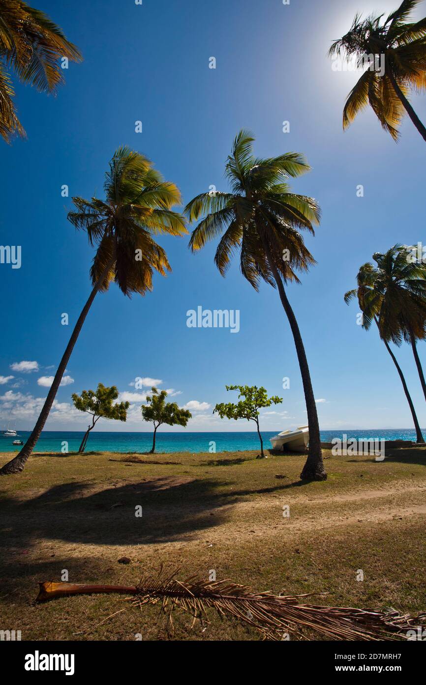 antigua