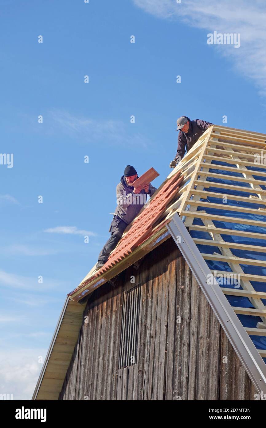 Roof contractors on the job retackling the roof on the barn Stock Photo