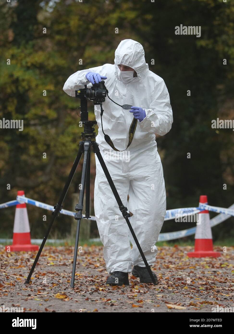 Forensic investigators at Watlington Hill in Oxfordshire after the body of a woman was discovered at the National Trust estate, a man has been arrested on suspicion of murder and is being treated for serious injuries, police said. Stock Photo