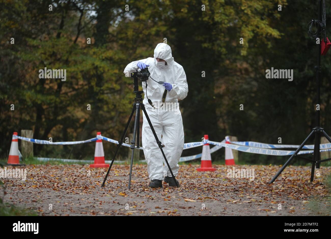 Forensic investigators at Watlington Hill in Oxfordshire after the body of a woman was discovered at the National Trust estate, a man has been arrested on suspicion of murder and is being treated for serious injuries, police said. Stock Photo