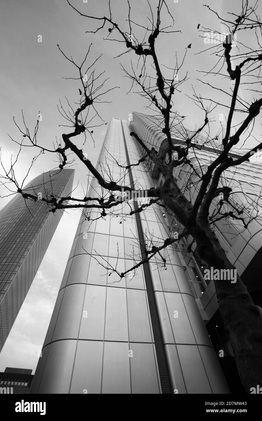 Frankfurt downtown night Black and White Stock Photos & Images - Alamy