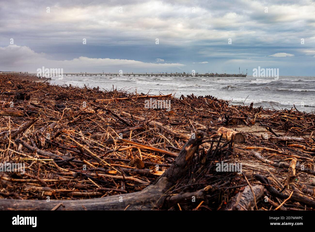 Page 3 - Forte Dei Marmi High Resolution Stock Photography and Images -  Alamy