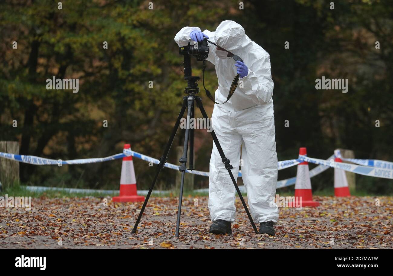 Forensic investigators at Watlington Hill in Oxfordshire after the body of a woman was discovered at the National Trust estate, a man has been arrested on suspicion of murder and is being treated for serious injuries, police said. Stock Photo