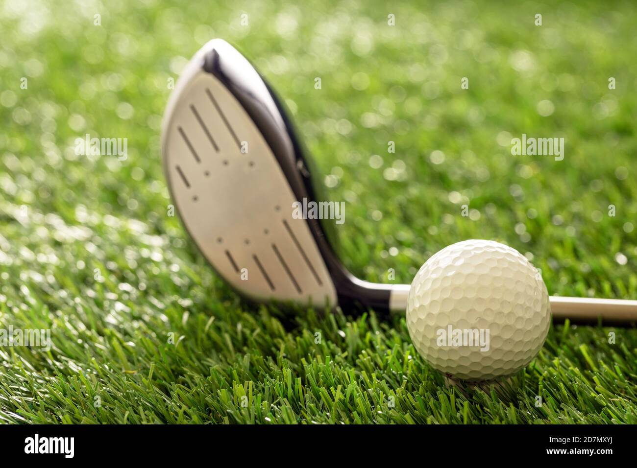 Golfing sport equipment and club concept. Golf ball and stick on green course lawn, sunlight reflections, close up view. Stock Photo