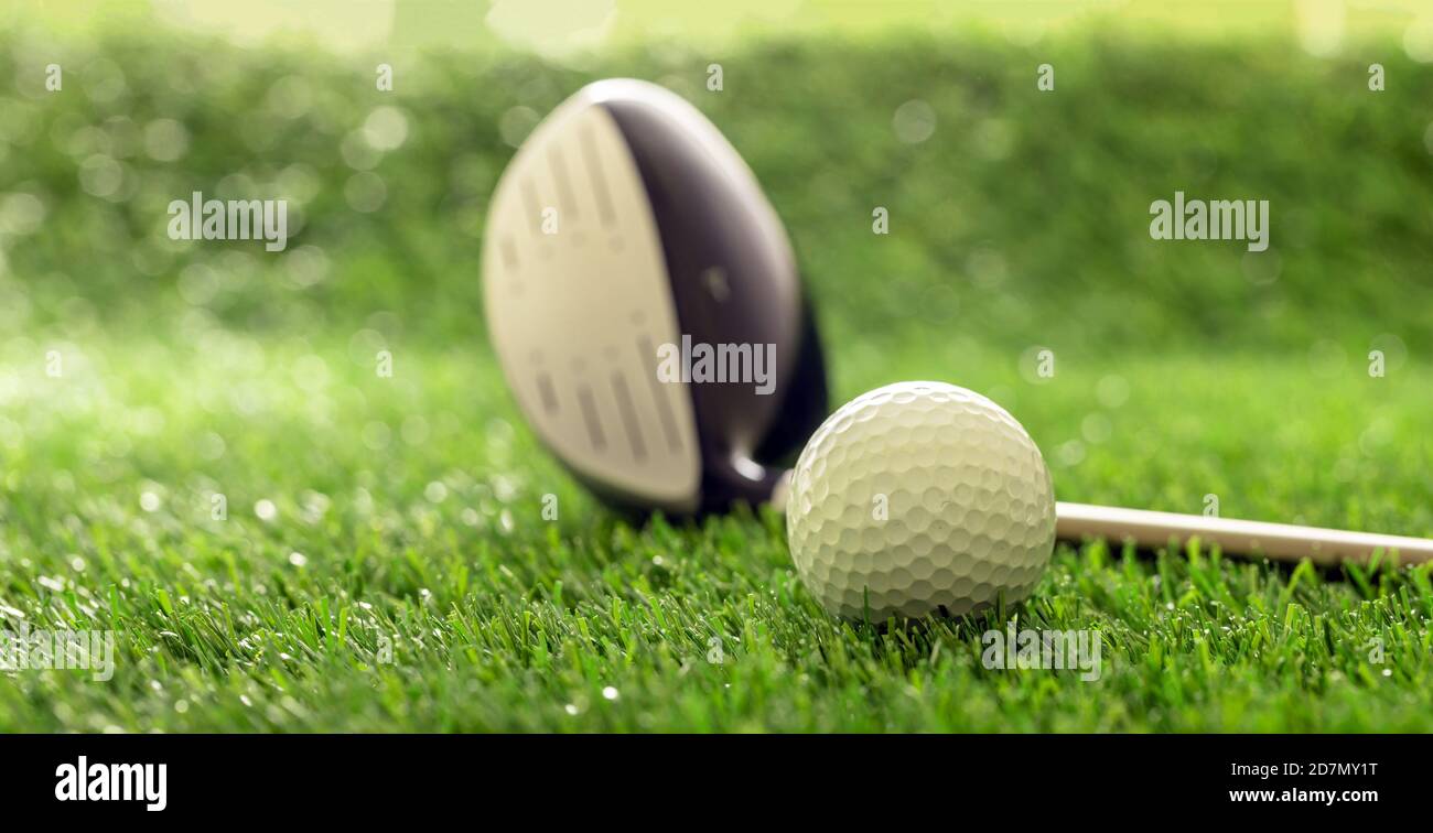 Golf ball and club on green course lawn, sunlight reflections, close up view. Golfing sport equipment and equipment concept. Stock Photo