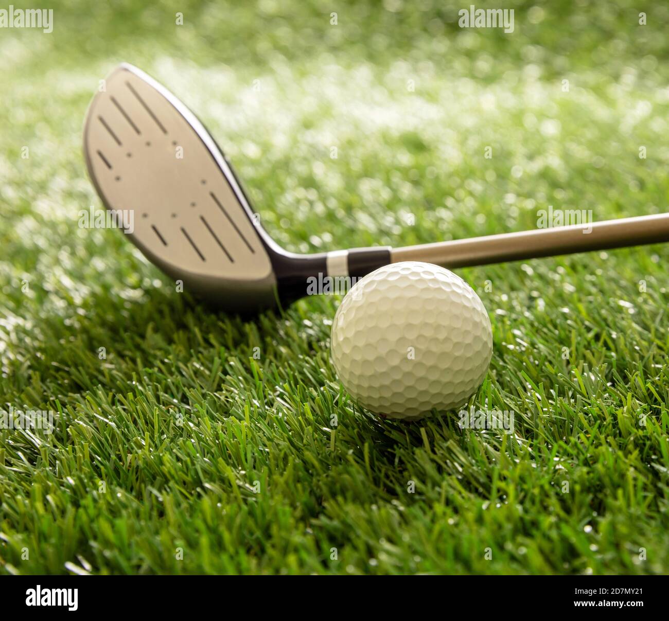 Golf ball and club on green course lawn, sunlight reflections, close up view. Golfing sport equipment and club concept. Stock Photo