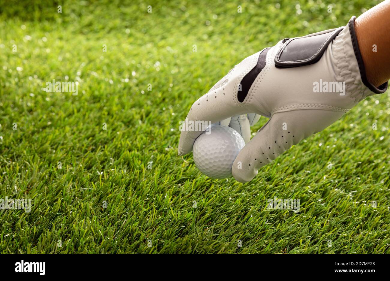 Hand in golf glove holding a golfball, green course lawn background, close up view. Golfing sport and club concept. Copy space, template Stock Photo