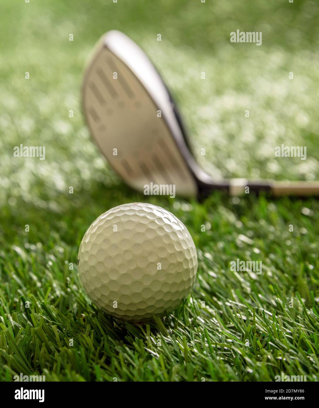 Golfing sport equipment and club concept. Golf ball and stick on green course lawn, sunlight reflections, close up view. Stock Photo