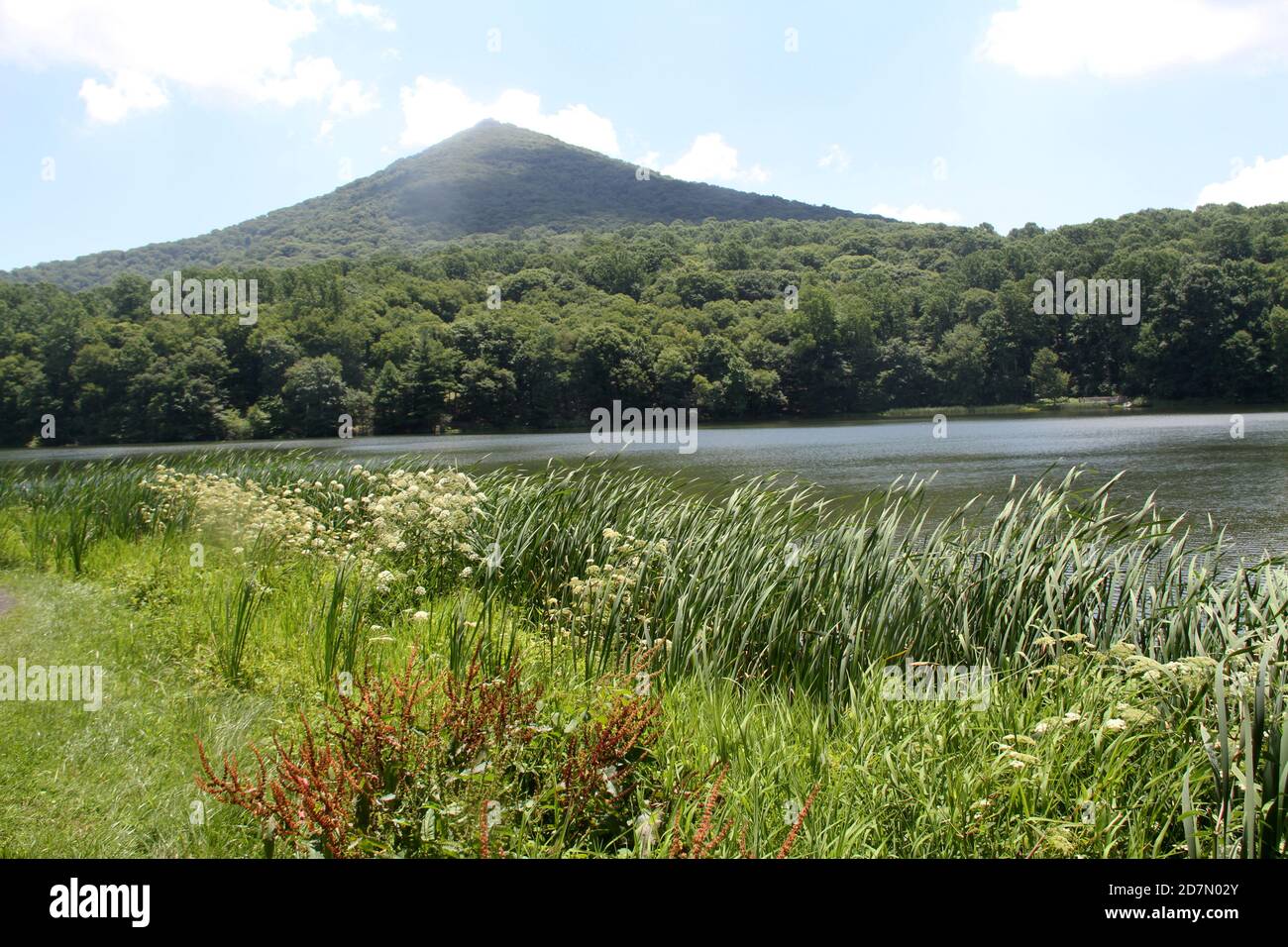 View of Sharp Top with Abbott Lake in the summertime. Peaks of Otter, Virginia, Blue Ridge Parkway, USA. Stock Photo