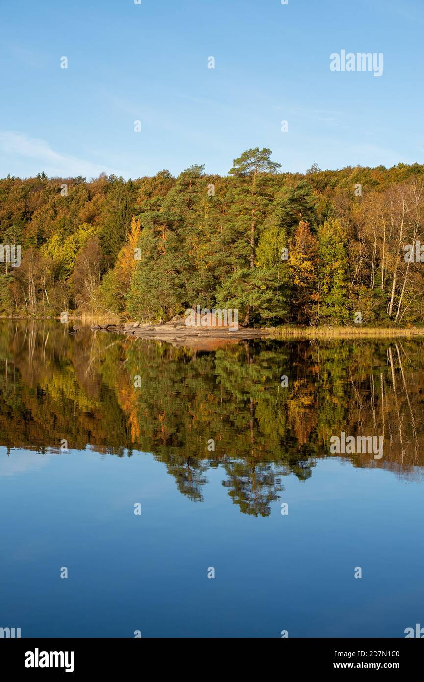 Vertical shot of a lake surrounded by greenery reflecting on the water ...