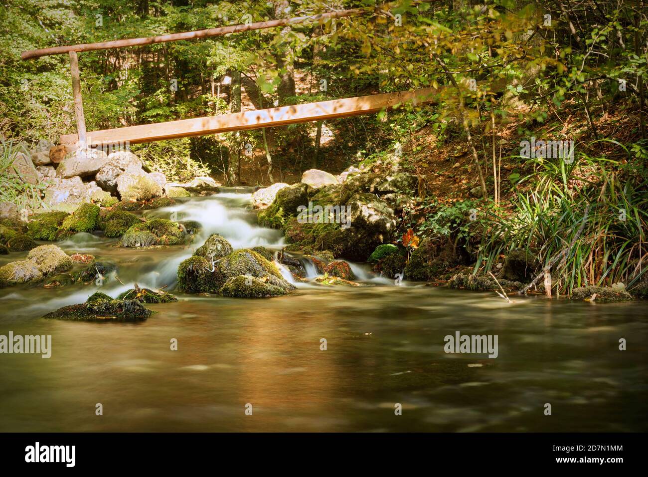 bridge over small cascade in CHeile Nerei Beusnita National Park Stock Photo