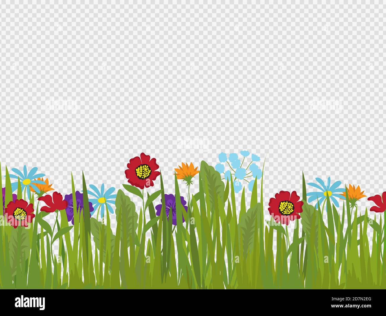 Spring flowers and grass border isolated on transparent background. Vector spring border, grass and flower illustration Stock Vector