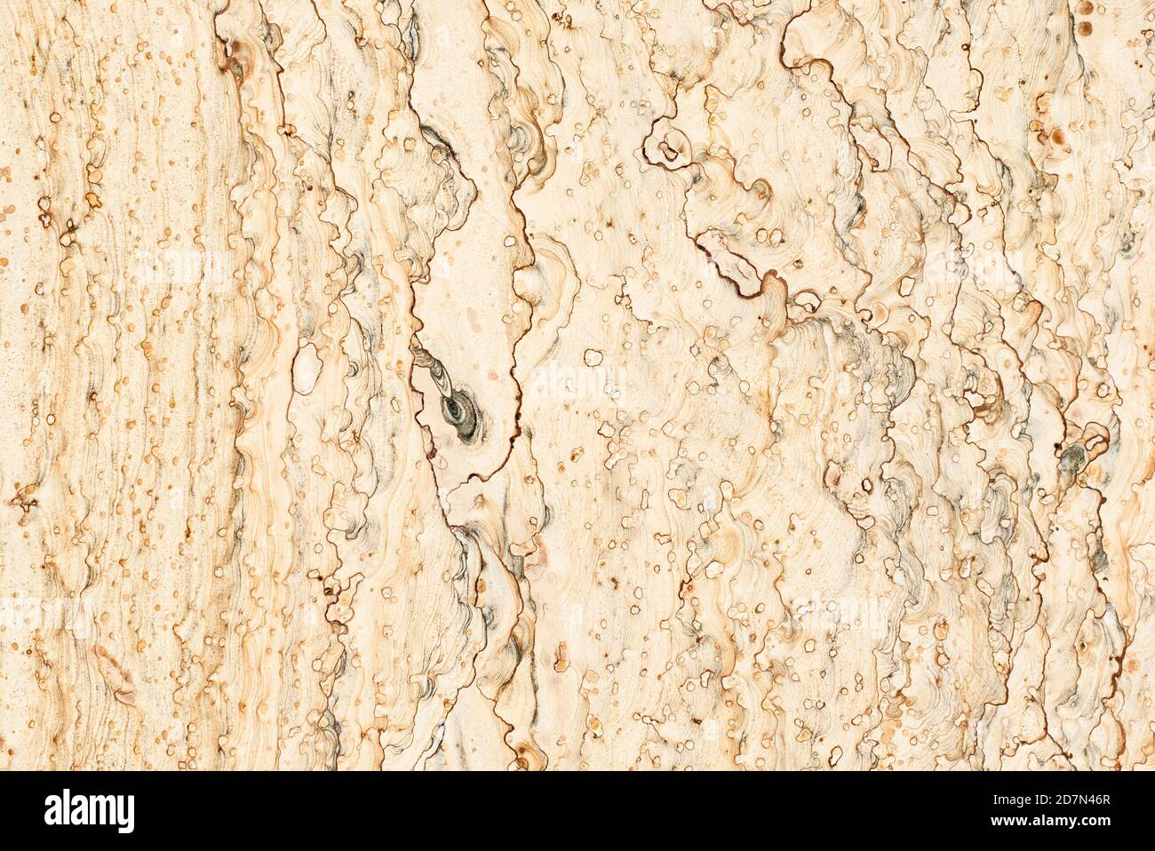 Decorative stone with abstract pattern. Stock Photo