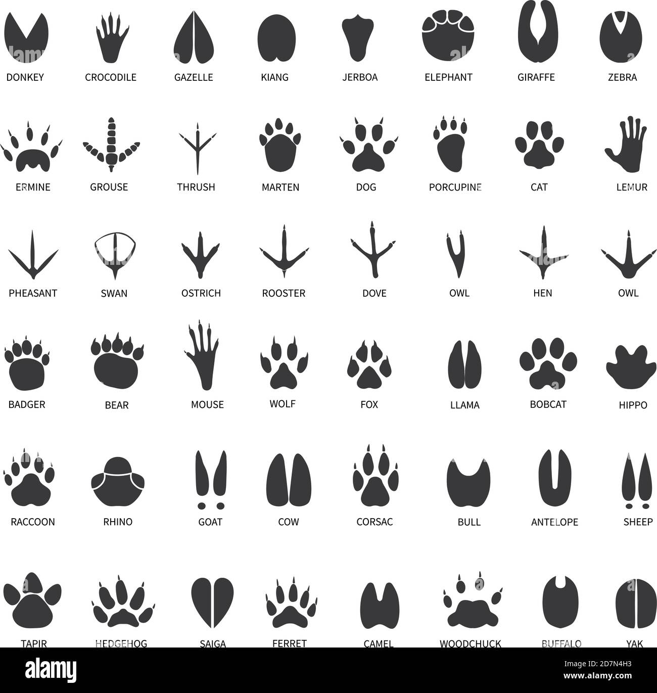 Animal tracks. Footprints of swan, llama and donkey, cat. Owl, dog and mouse, dove and zebra paw prints isolated vector set. Illustration track wild, bear and wolf, print black trail crocodile gazelle Stock Vector