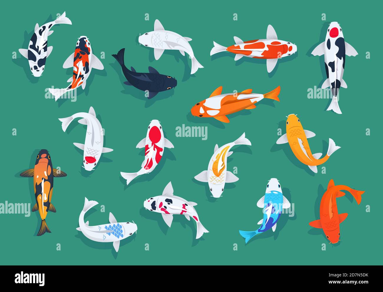 Koi fishes. Japanese colorful carp, asian goldfishes vector set