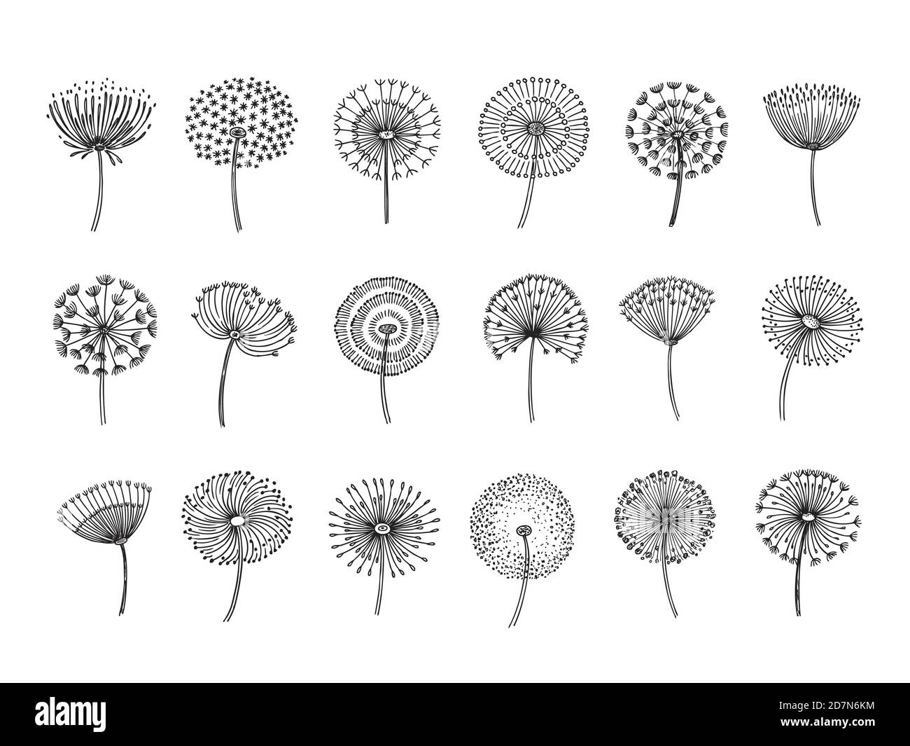 Dandelion set. Doodle hand drawn dandelions monstera delicate plant seeds summer botanical fluff flower isolated vector silhouettes. Illustration of dandelion fluff, botanical flower softness Stock Vector