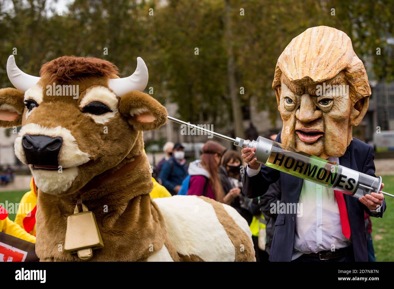 London, UK.  24 October 2020.  Characters dressed as Donald Trump, President of the United States, a pantomime cow and chlorinated chickens join people in Parliament Square protesting against a post-Brexit trade deal with the USA claiming that, amongst other reasons, the NHS and food standards would be negatively affected.  Credit: Stephen Chung / Alamy Live News Stock Photo