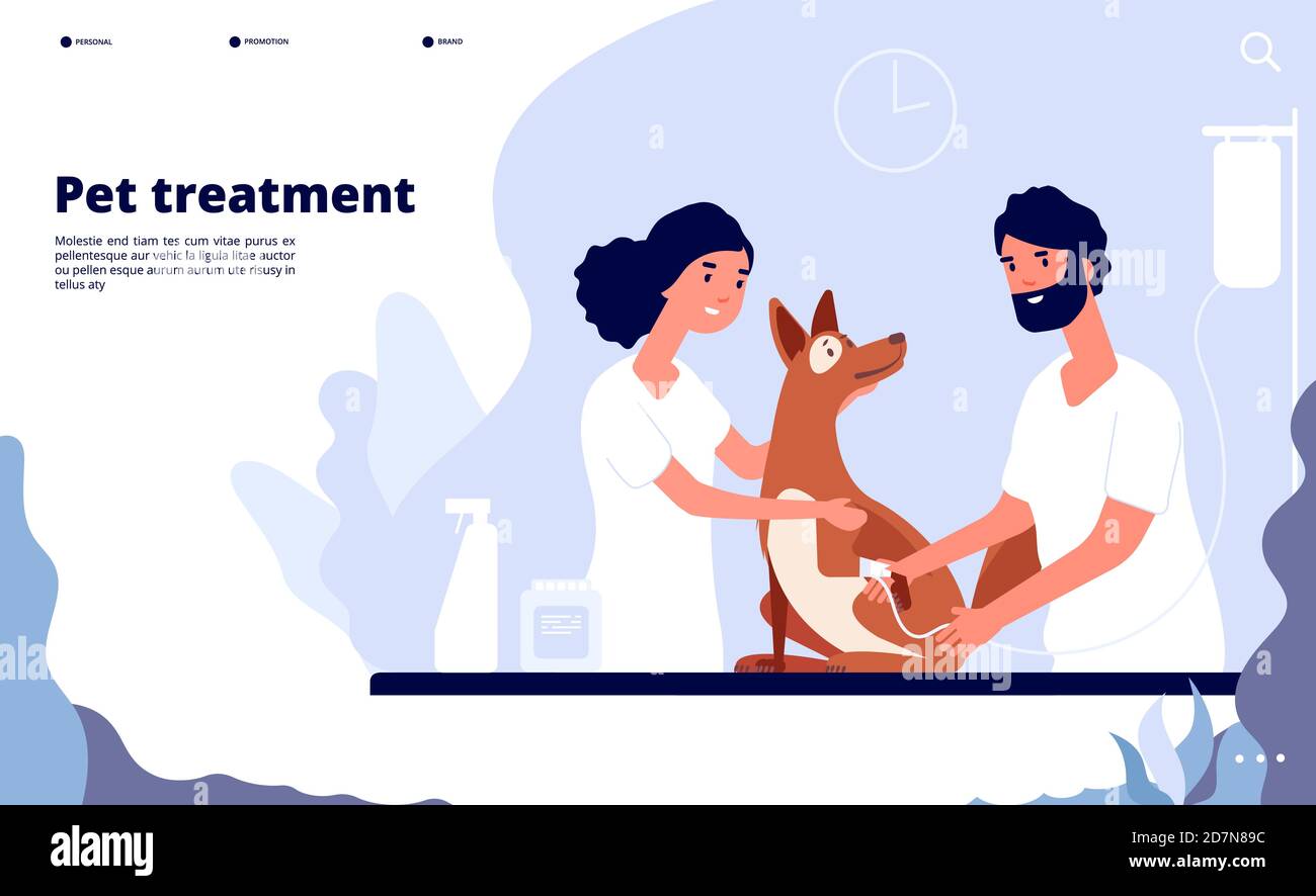 Veterinary landing. Veterinarian treats pet in clinic. Treatment, counseling and care for pets vector website concept. Illustration of care dog, professional help in clinic Stock Vector