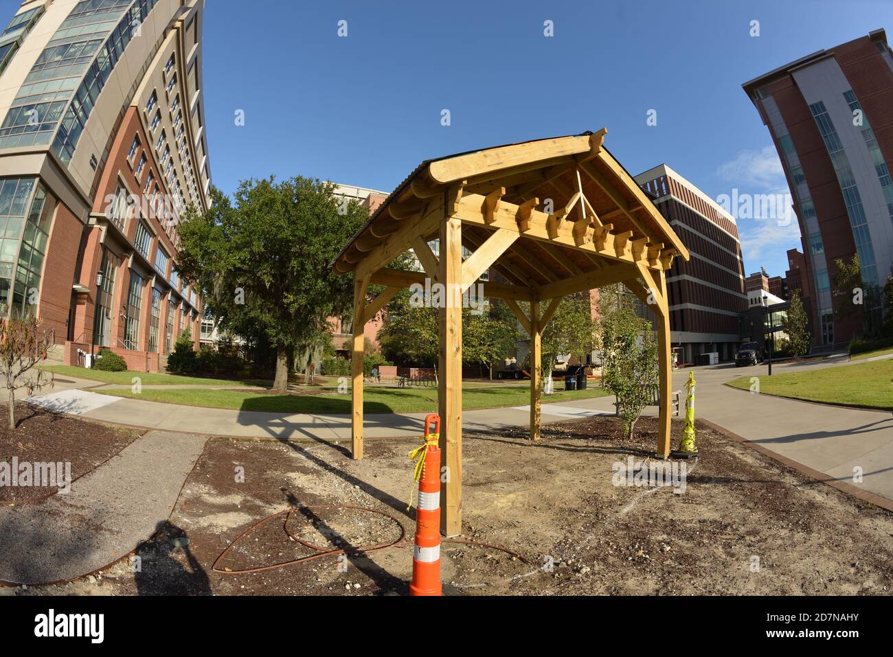 Urban Gardens Maintained by Volunteer Farmers with Mini Library, Corn, Peppers, Avocados, and other Vegetables, Eye in Tree, Pumpkins, Bee, Hive, Pun. Stock Photo