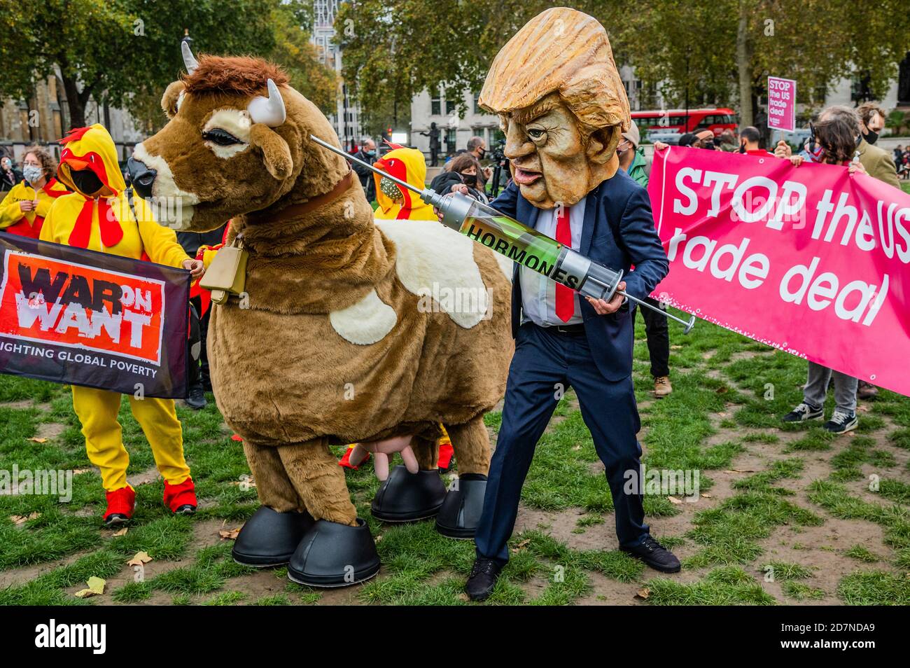 London, UK. 24th Oct 2020. Stop Trump, Stop the (post Brexit) Trade Deal a protest in Parliament Square. A pantomine cow and a flock of chlorinated chickens try to avoid being inject5ed with hormones by a fake Donald Trump and a businessman. They are also worried about: The NHS being opened up permanently to American healthcare companies; Chlorinated chicken, hormone-laced beef and lower food standards; Forced deregulation of our environmental laws, our rights at work and our rights to data privacy; and new rules that make it impossible to take effective action on the climate crisis. Stock Photo