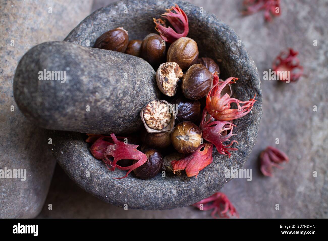 Whole Nutmeg seeds, mace or aril in stone mortar on light blue