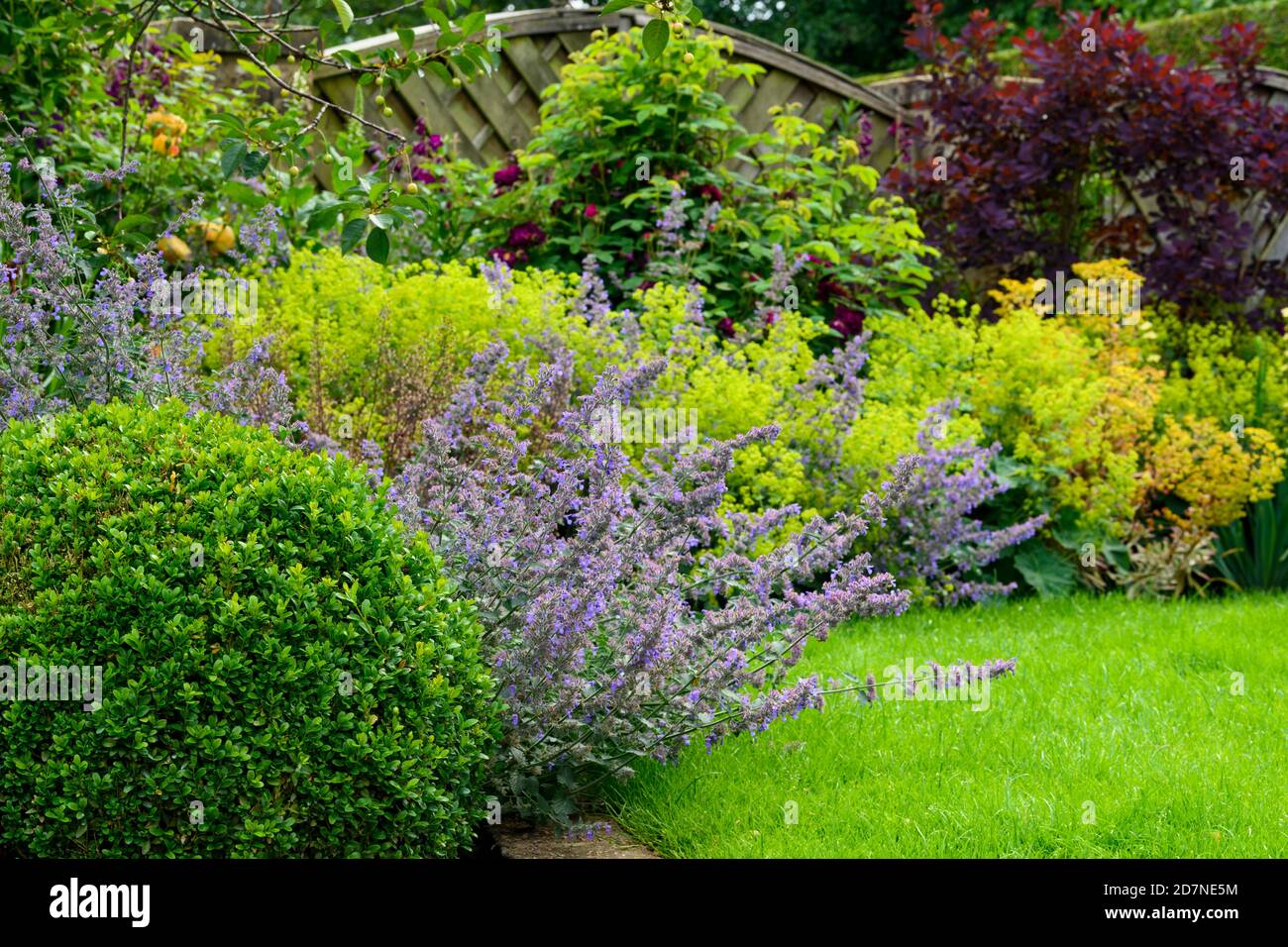 Landscaped private garden close-up (contemporary design, summer flowers, mixed border plants, shrubs, colourful foliage, lawn) - Yorkshire, England UK Stock Photo
