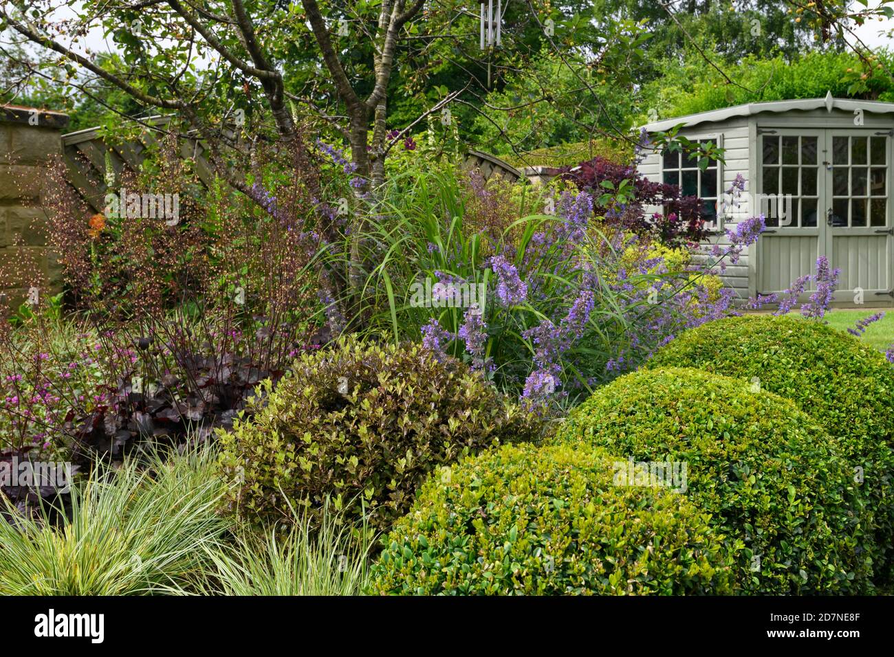 Landscaped private garden close-up (summer flowers, mixed border plants, shrubs, box balls, cherry tree, summerhouse shed) - Yorkshire, England UK Stock Photo