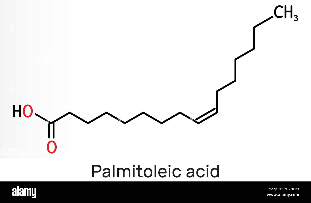Palmitoleic acid, palmitoleate molecule. It is an omega7 monounsaturated fatty acid. Skeletal