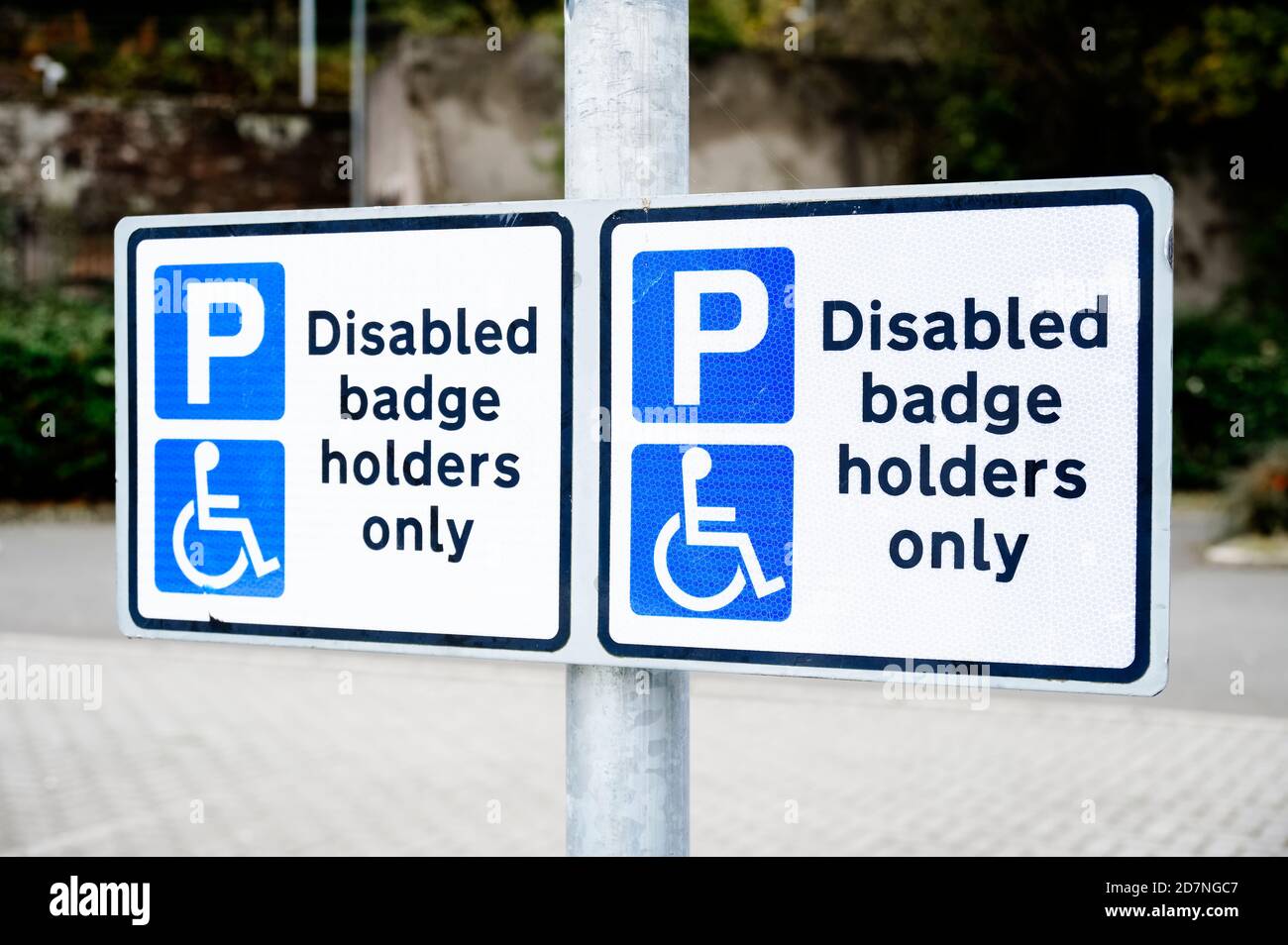 Disabled blue badge holder parking sign for driver Stock Photo Alamy
