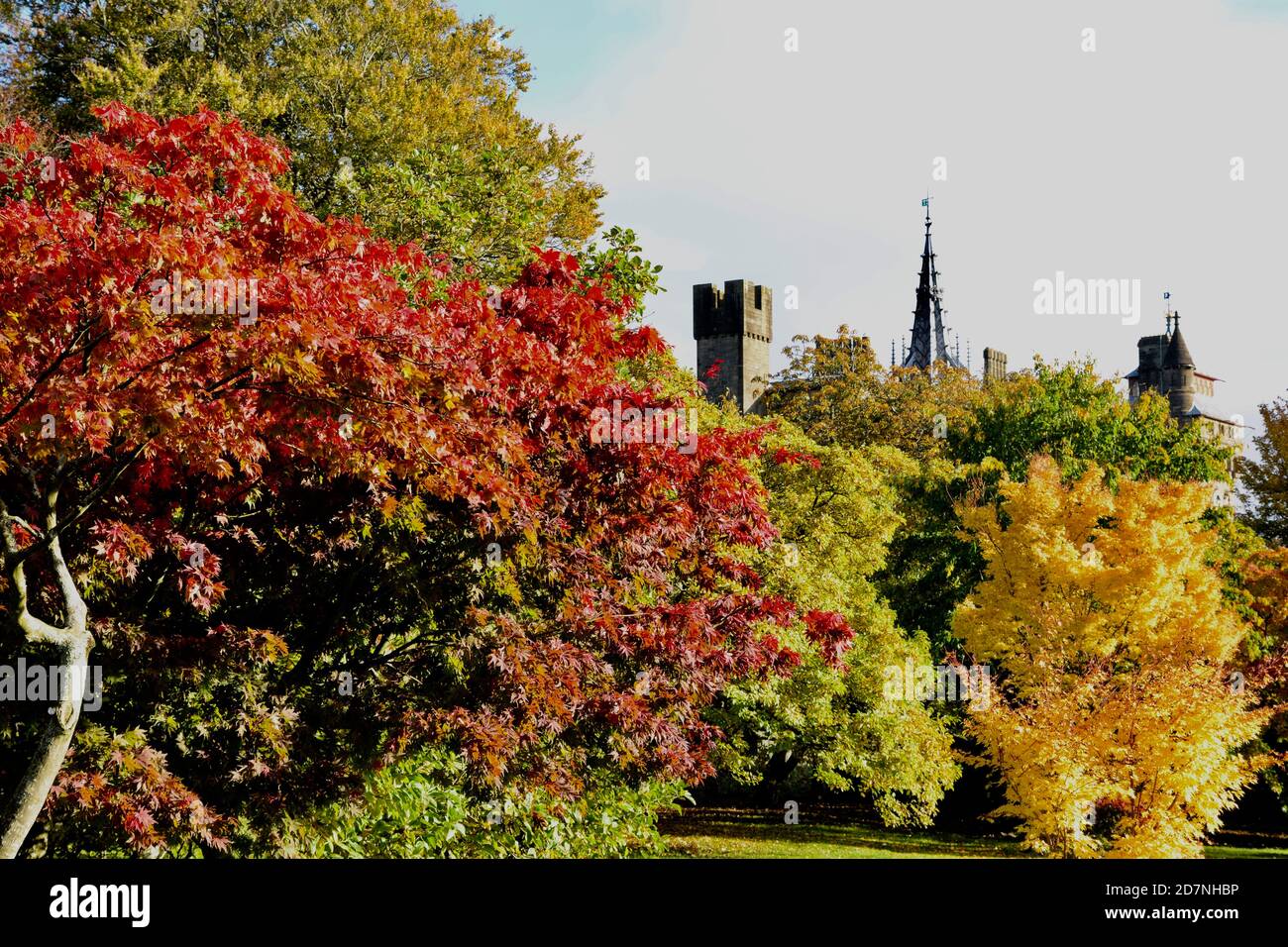 A beautiful sunny Autumn day at Roath Park Lake, Cardiff, Wales. The leaves have started changing colour and are reflected in the still cold water. Stock Photo