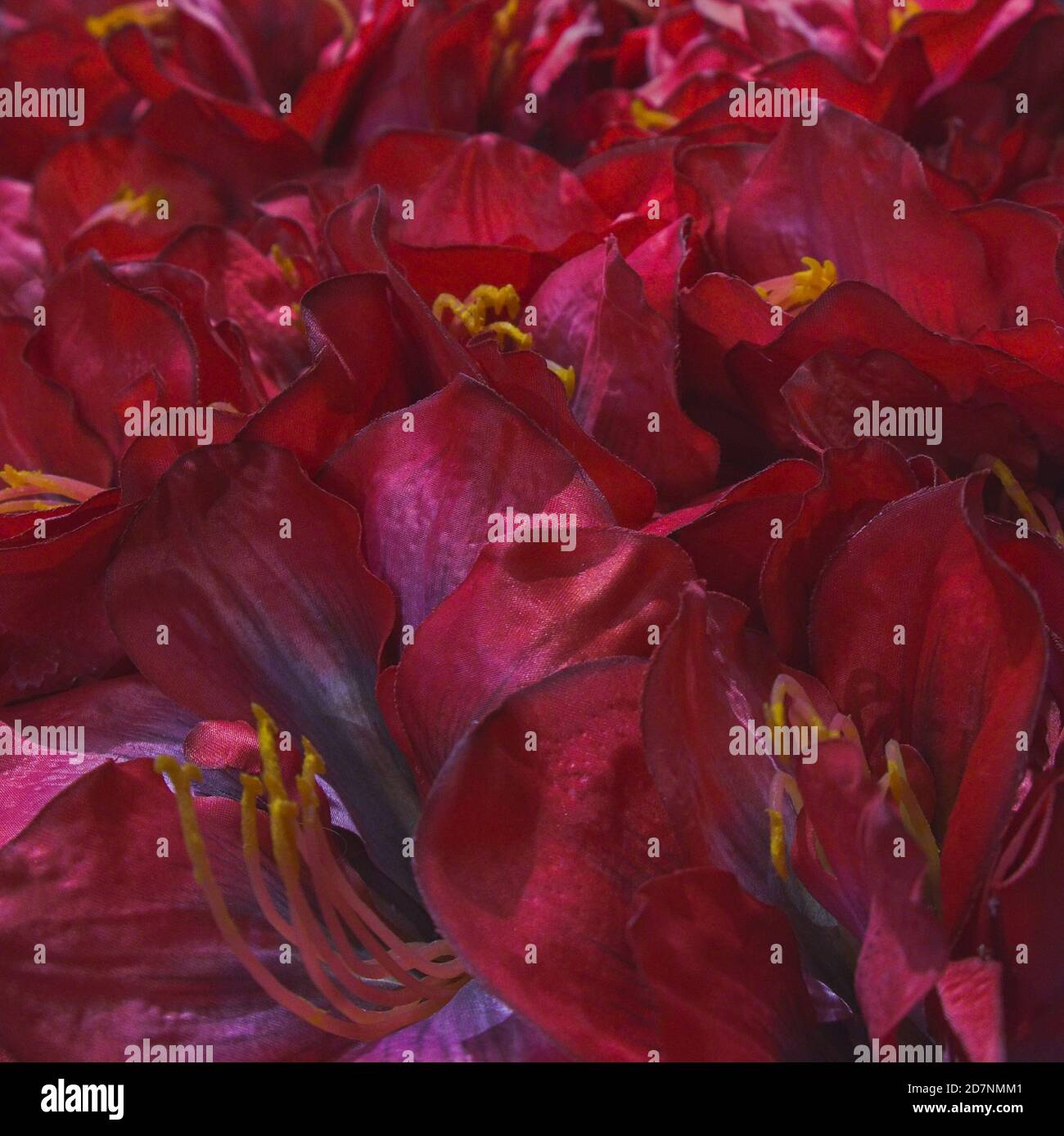 Artificial dark crimson synthetic flowers,floral pattern for wrapping or banner background. Stock Photo