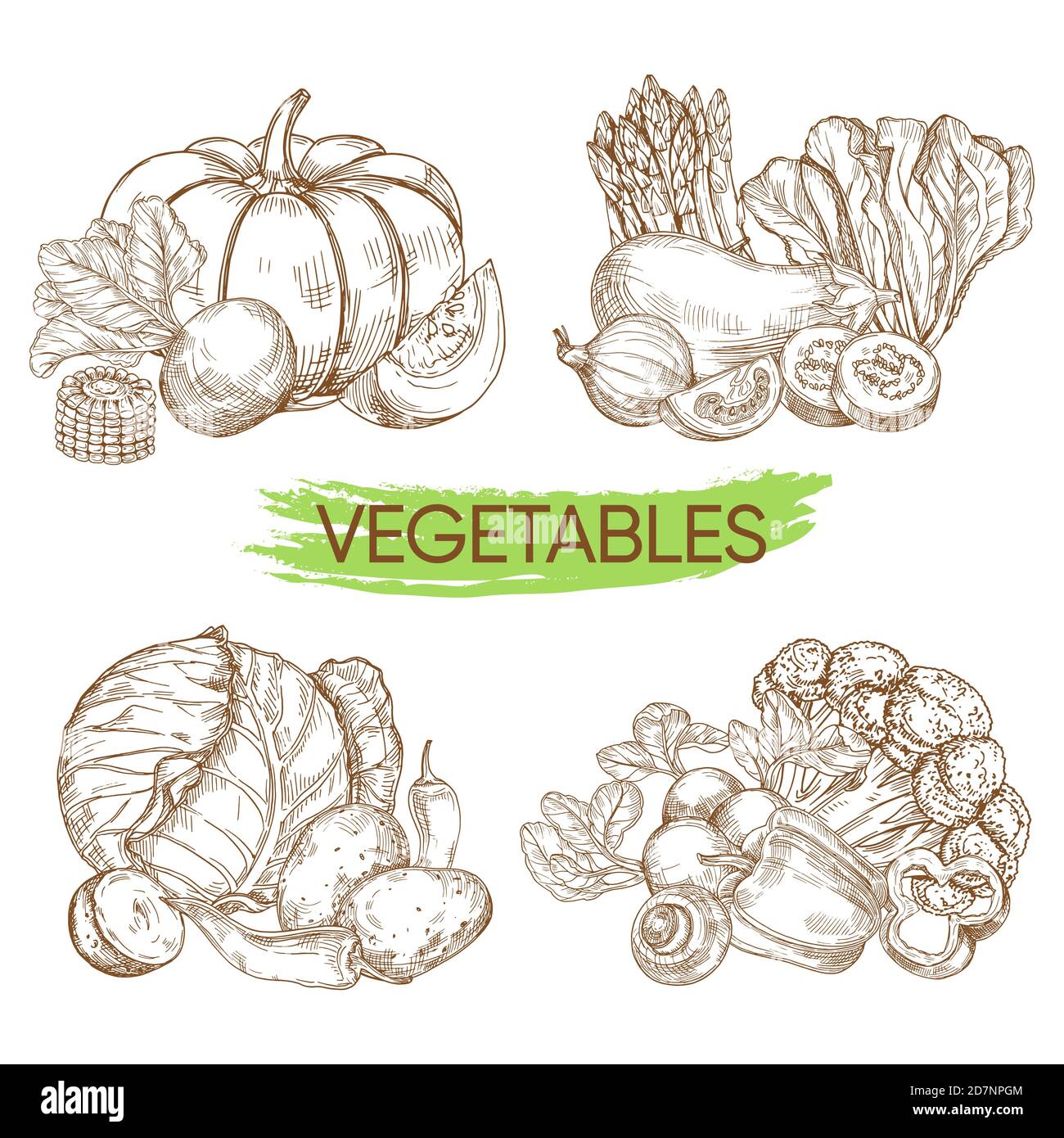 Hand sketched vector vegetables isolated on white background. Illustration of vegetable eggplant and salad, onion and harvest Stock Vector