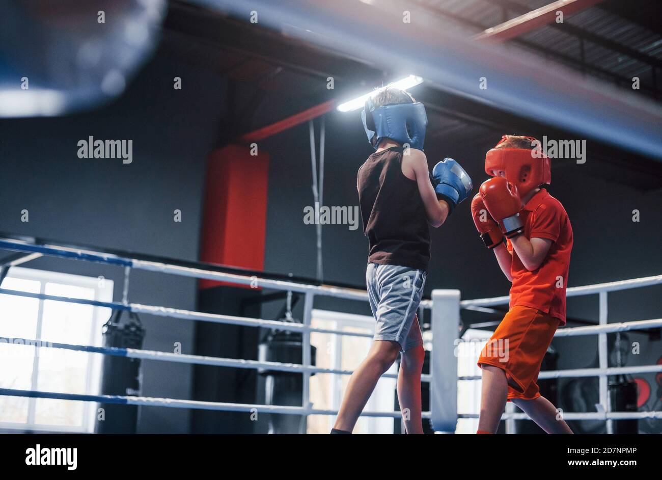 Two boys in protective equipment have sparring and fighting on the boxing ring Stock Photo Alamy