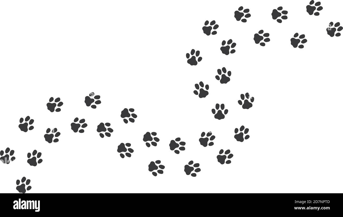 Cat footprints. Cats or dogs travel footprints. Black domestic animals paw prints isolated on white background. Vector illustration. Cat and dog, animal footprint silhouette Stock Vector