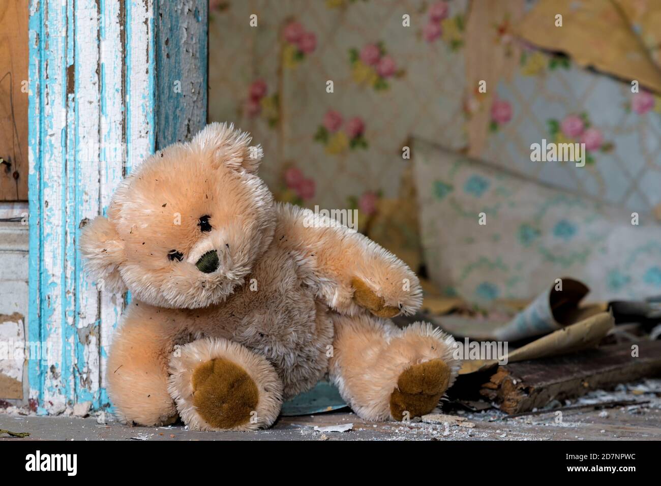 A dirty teddy bear leaning against a door frame in an old, abandoned house. Debris and assorted wallpaper peeling from the wall in the background. Stock Photo