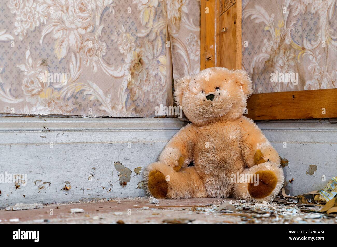 A dirty teddy bear sitting in the corner in an old abandoned house. The wallpaper is peeling, and the floor is littered with debris. Stock Photo