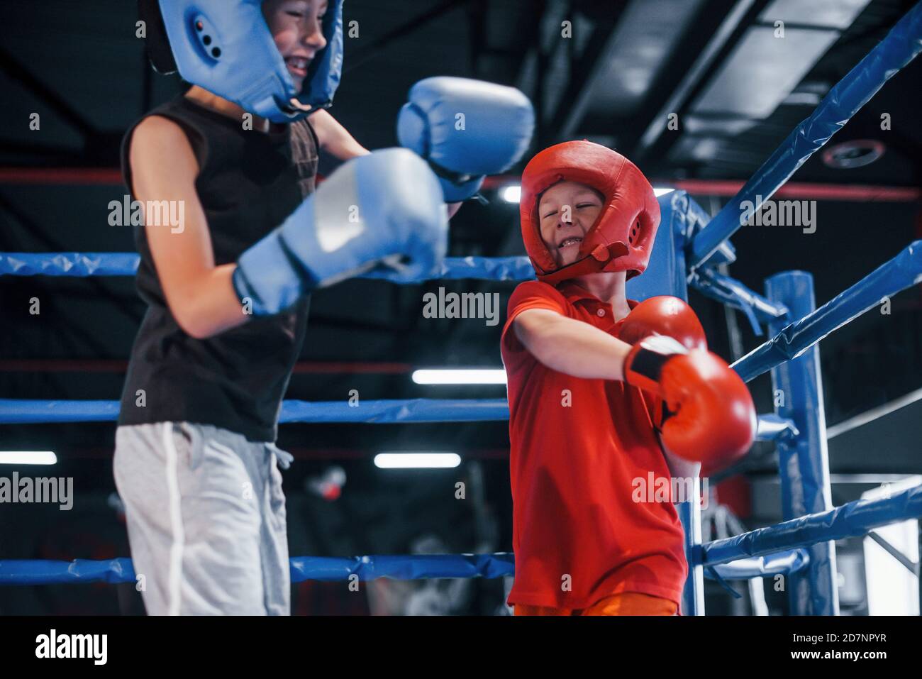 Two boys in protective equipment have sparring and fighting on the boxing ring Stock Photo Alamy
